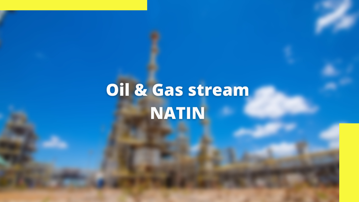 Staatsolie takes initiative to set up Oil & Gas stream NATIN