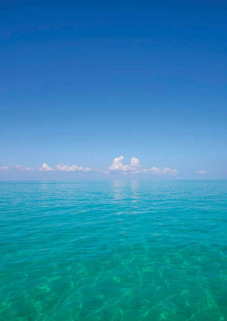 Suriname Shallow Offshore Bid Round 2023 Virtual Data Room Opened